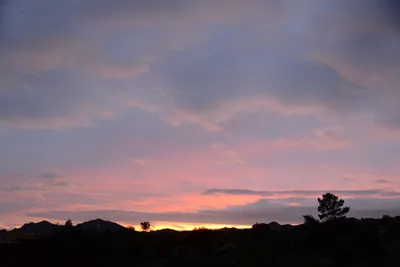 DSC_1438 (Large).JPG